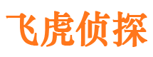 淮阴市调查取证